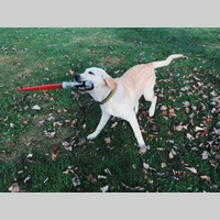 Looking for a roommate in Manhattan - New York