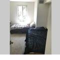 Room for rent in Hollywood #4
