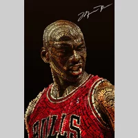 Looking for a roommate