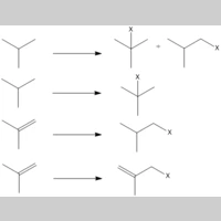 Looking for a roommate in Northwest Side, North Side, Far North Side - Chicago