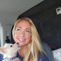 Looking for a roommate