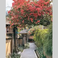 Looking for a roommate in Miami, Broward County - Miami