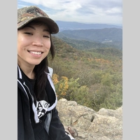 Looking for a roommate in South Austin, West Austin, East Austin, North Austin, North Central Austin, South Central Austin, Central Austin - Austin