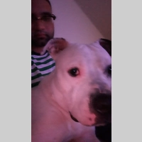 Looking for a roommate in North Atl - Atlanta