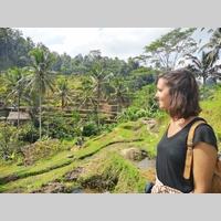 Looking for a roommate