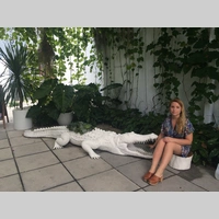 Looking for a roommate in Brooklyn, Manhattan - New York