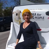 Looking for a roommate in South Austin, West Austin, South Central Austin, Central Austin - Austin