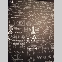 Looking for a roommate in Miami Dade, Miami Beach, Miami - Miami