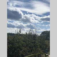 Looking for a roommate in Jersey City / Hoboken, Brooklyn, Manhattan - New York