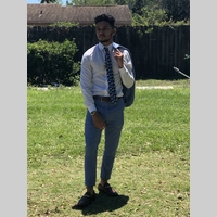 Looking for a roommate in Palm Beach County, Miami Dade, Miami Beach, Miami - Miami