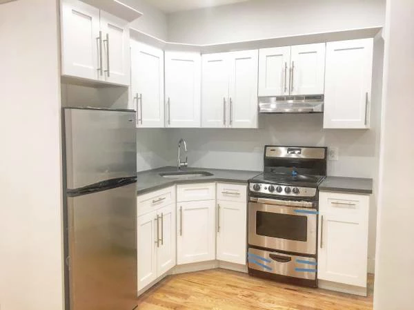 3 bedrooms apartment for rent in Flatbush Ditmas Park - Brooklyn, New York