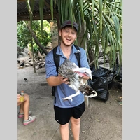 Looking for a roommate in North Atl, East Atl, Central Atl - Atlanta