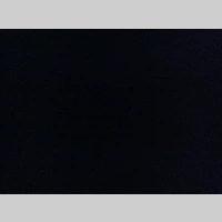 Looking for a roommate