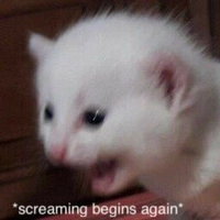 Looking for a roommate in Manhattan - New York