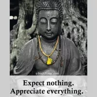 Looking for a roommate in South Atl, West Atl, North Atl, East Atl, Central Atl - Atlanta