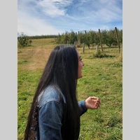 Looking for a roommate in Jersey City / Hoboken, Queens, Brooklyn, Manhattan - New York