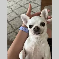 72df80ae 11b2 455f 9657 5ed02c613f8c