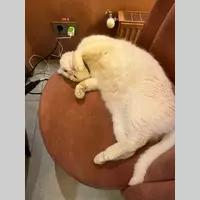 Room for rent in East Harlem - Manhattan, New York