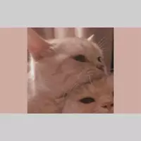 Looking for a roommate in Manhattan - New York