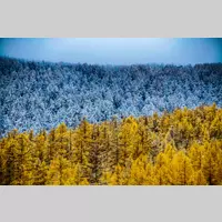 Looking for a roommate in Manhattan - New York