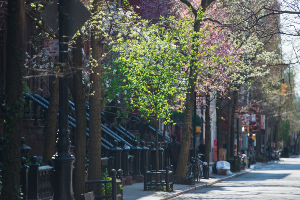 2 bedrooms apartment for rent in West Village - Manhattan, New York