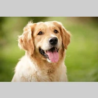 Room for rent in Greenwich Village - Manhattan, New York