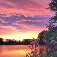 Looking for a roommate in Palm Beach County - Miami