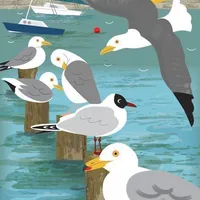 Looking for a roommate in South Atl, West Atl, North Atl, East Atl, Central Atl - Atlanta