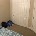 Room for rent in Sunnyvale #1