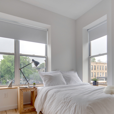 Coliving in Prospect Lefferts Gardens - Brooklyn, New York