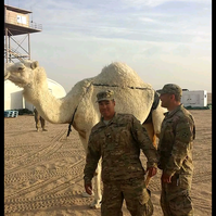 Looking for a roommate in Jersey City / Hoboken, The Bronx, Queens, Brooklyn, Manhattan - New York