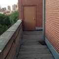 Room for rent in East Village #3