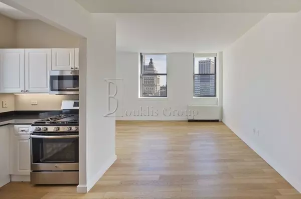 1 bedroom apartment for rent in Financial District - Manhattan, New York