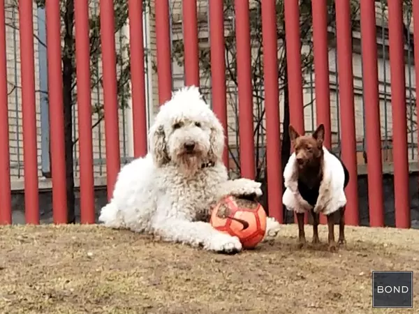 2 bedrooms apartment for rent in Midtown West - Manhattan, New York