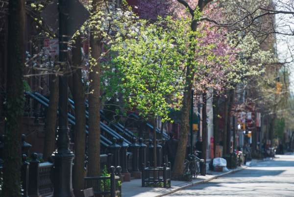 2 bedrooms apartment for rent in West Village - Manhattan, New York