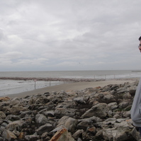 Looking for a roommate in Queens, Brooklyn, Manhattan - New York