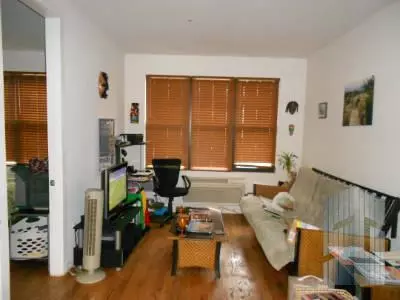 1 bedroom apartment for rent in Prospect Heights - Brooklyn, New York