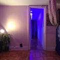 Room for rent in Washington Heights #14