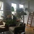 Room for rent in Williamsburg #3