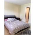 Room for rent in Doral #3