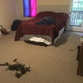 Room for rent in Mid Wilshire #1