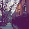 Room for rent in Park Slope #10