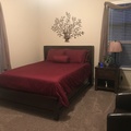 Room for rent in Atascocita #1