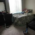 Room for rent in Westwood #4