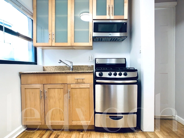 2 bedrooms apartment for rent in Lower East Side - Manhattan, New York