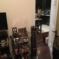 Room for rent in Bushwick #2