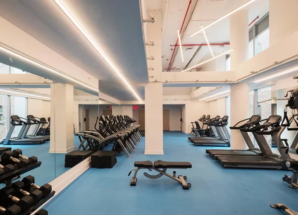 1 bedroom apartment for rent in Dumbo - Brooklyn, New York