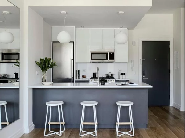 1 bedroom apartment for rent in Williamsburg - Brooklyn, New York