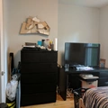 Room for rent in Bedford Stuyvesant #15