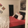 Room for rent in Harlem #2